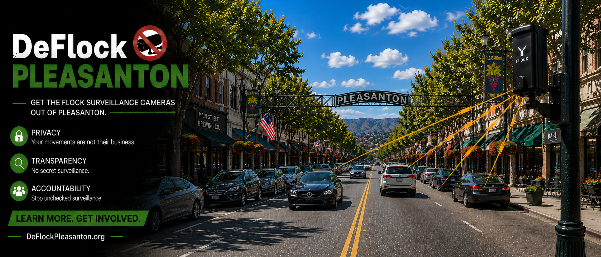 DeFlock Pleasanton — Main Street Pleasanton campaign banner